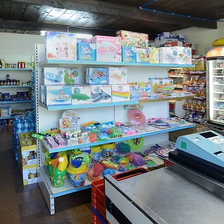 绿洲酒店 酒店